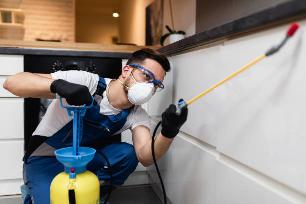 Best Flea Control Services  in Kadelphia, AR