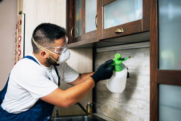 Best Emergency Pest Control  in Kadelphia, AR