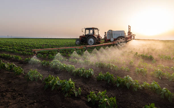 Best Pest Inspection Near Me  in Kadelphia, AR
