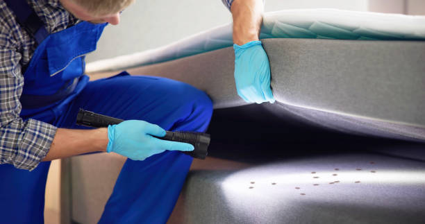 Best Pest Removal Services  in Kadelphia, AR