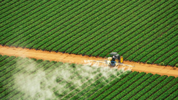 Best Termite Control Services  in Kadelphia, AR