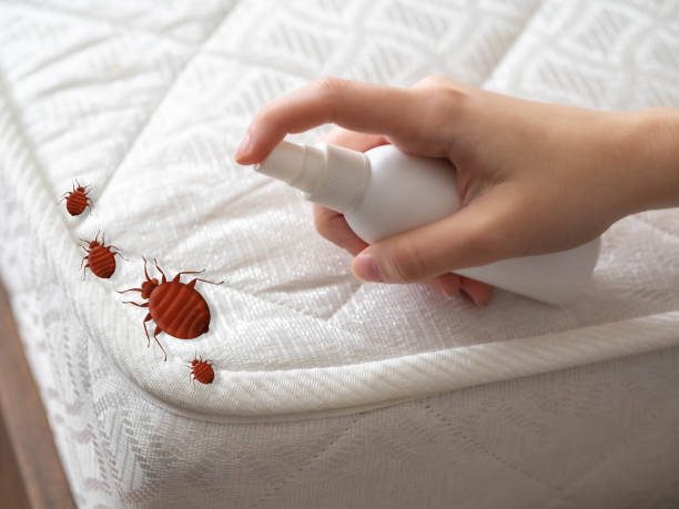 Best Pest Removal Services  in Kadelphia, AR