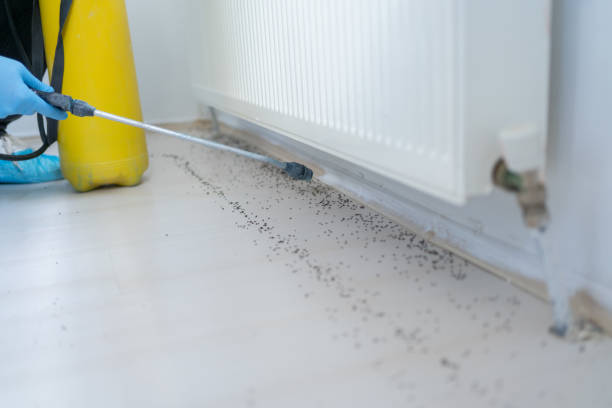 Professional Pest Control in Arkadelphia, AR