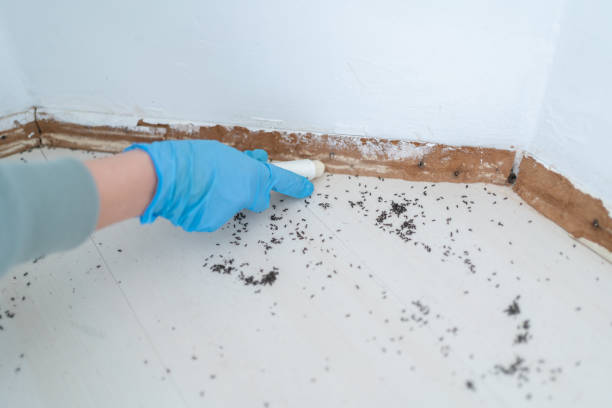 Best Pest Prevention Services  in Kadelphia, AR