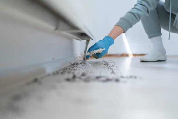 Best Exterminator Services  in Kadelphia, AR
